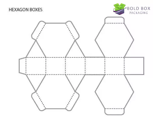 Hexagon Boxes Style